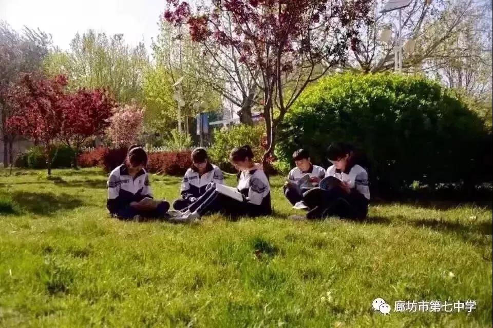 1546064137995893.jpg