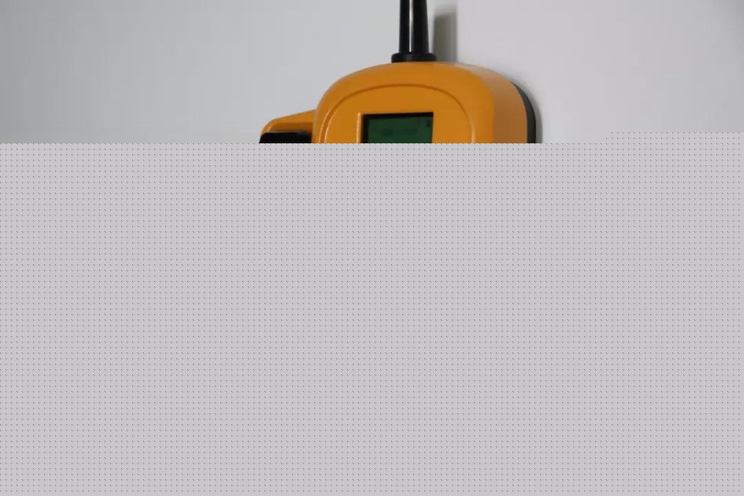 1551428355279779.jpg